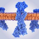 Inhibidores de la Bomba de Protones